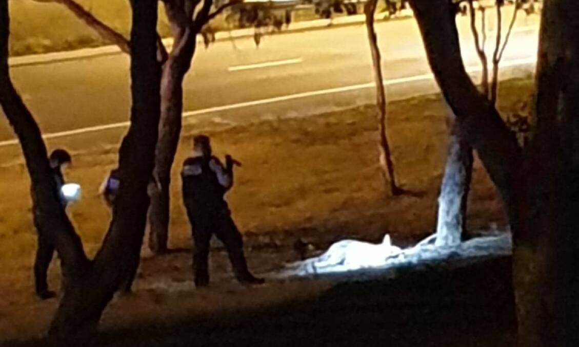 Police seen inspecting the kangaroo on the nature strip beside Tharwa Drive on Thursday night. Picture: Shane Berger