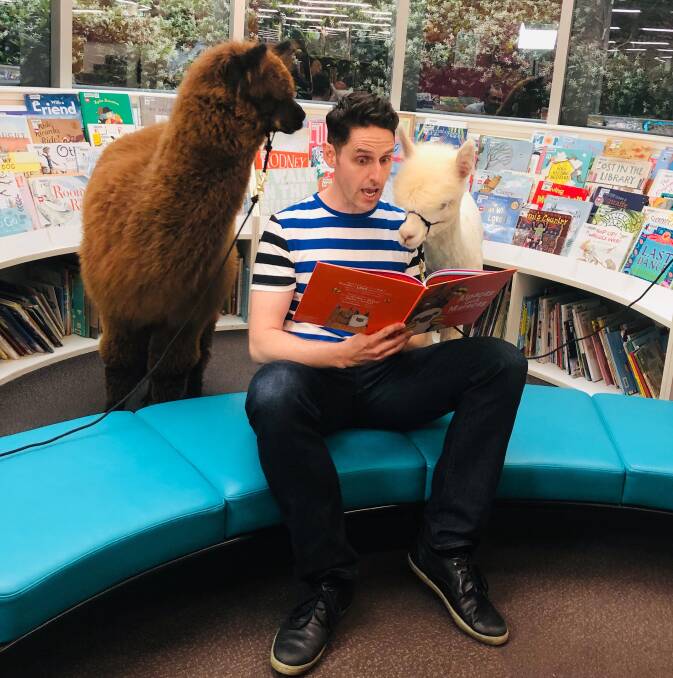 Author and illustrator Matt Cosgrove reads his book Alpacas with Maracas ... with some alpacas. Picture: Supplied