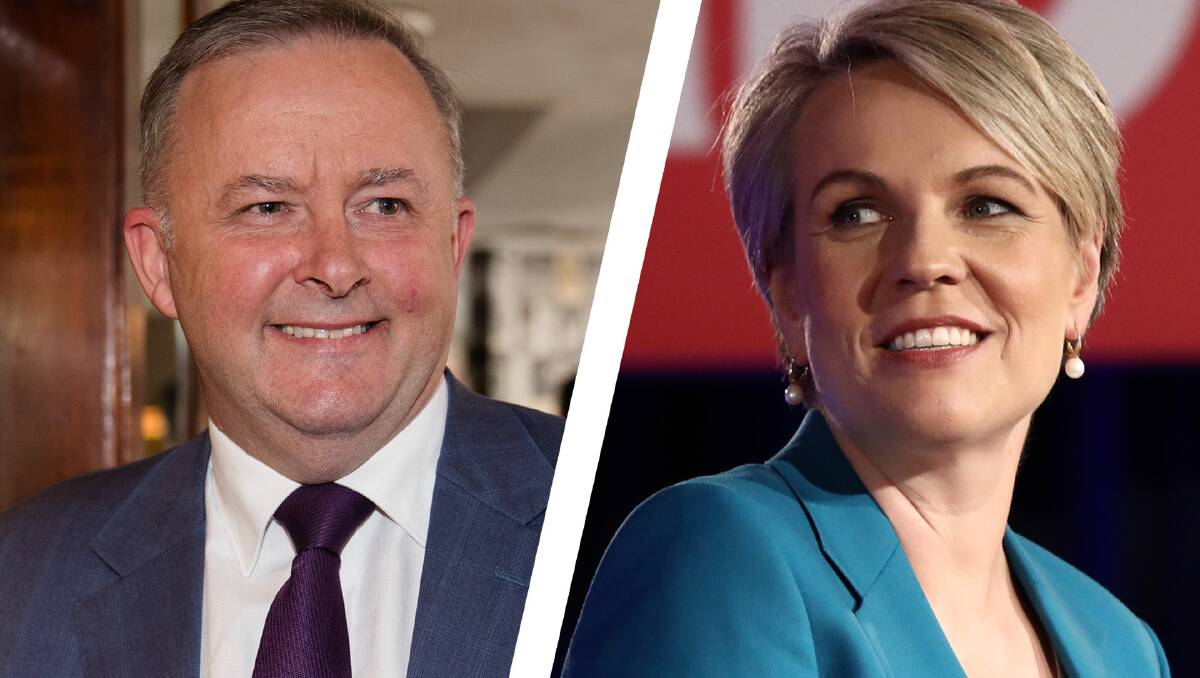Tanya Plibersek and Anthony Albanese will both contend for the Labor leadership. Photos: Edwina Pickles/Dominic Lorrimer