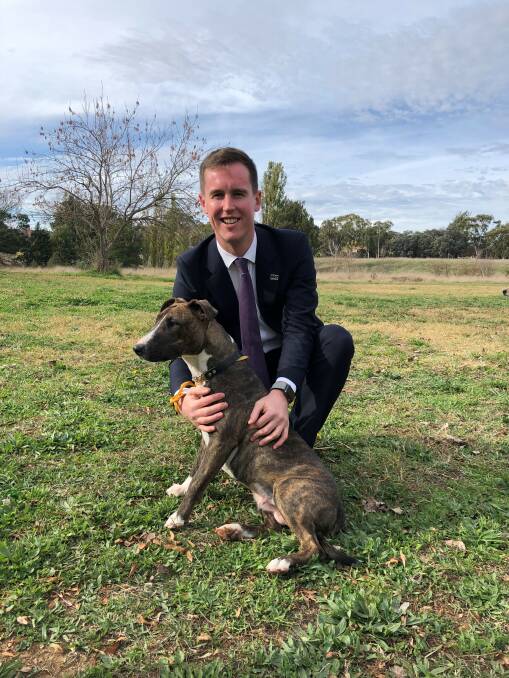 City Services Minister Chris Steel, who unveiled the ACT government's new dog strategy on Friday.