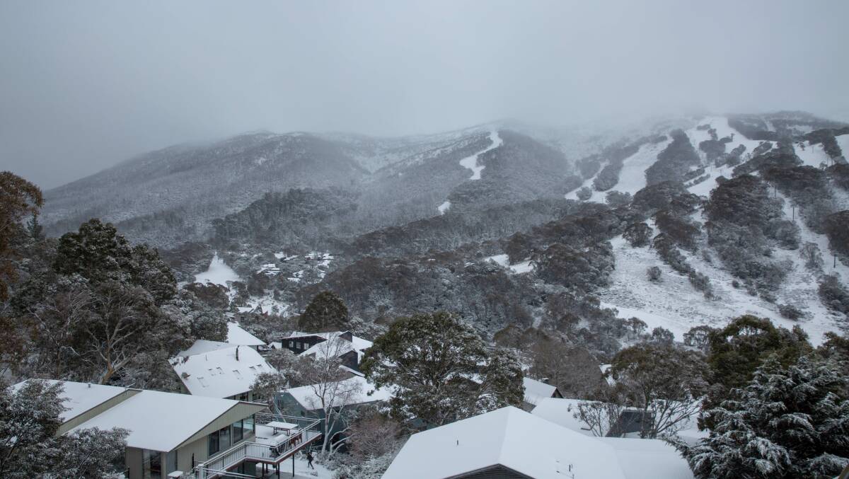 The man was rescued in back country, an hour out of Thredbo. Picture: Thredbo
