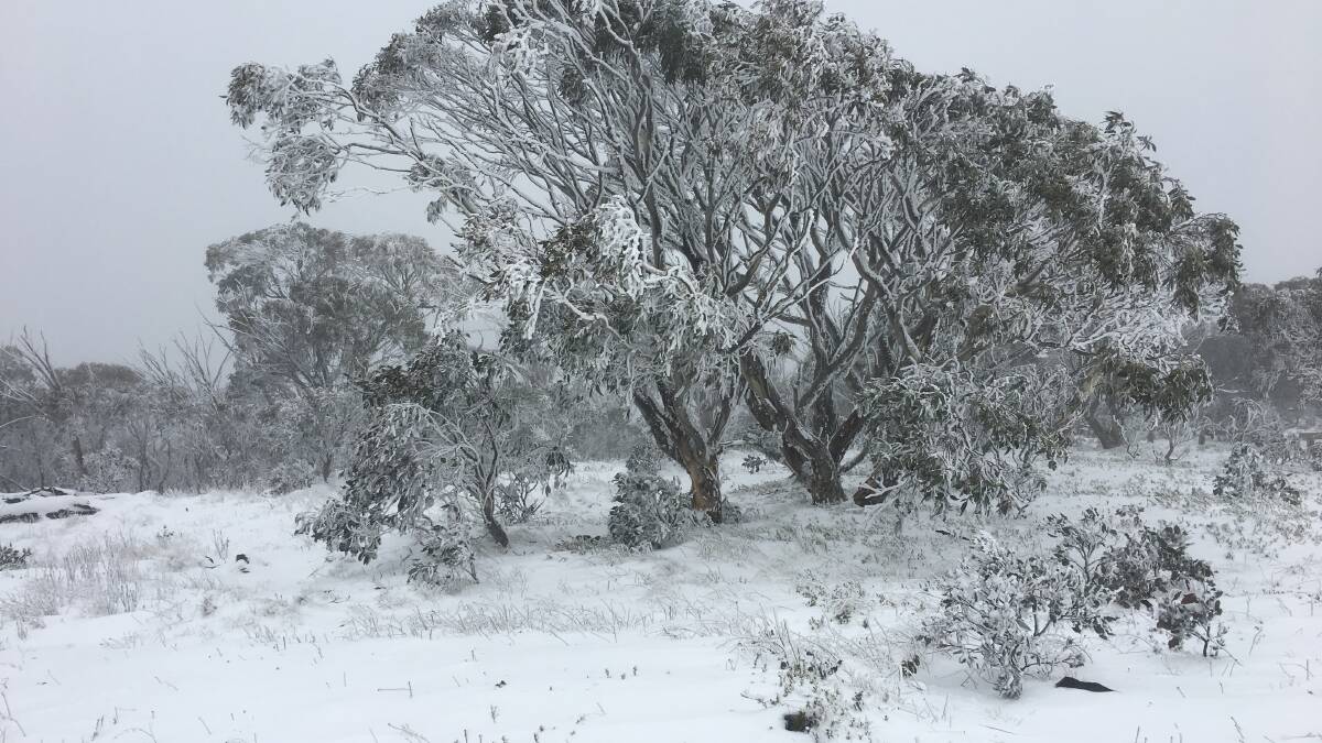 Snow blanketing the Brindabellas to Canberra's west on Tuesday. Picture: Brett McNamara