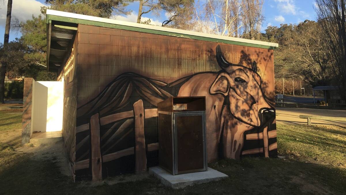 New mural on the amenities block at Captains Flat, featuring the bull after which the historic mining town is named. Picture: Tim the Yowie Man