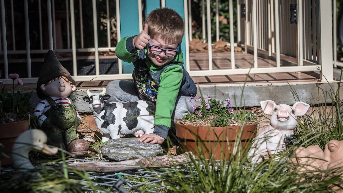 Dylan Williams, 4, at the Goodstart Early Learning Centre in Jerrabomberra where the children have built a native frog pond. Picture: Karleen Minney