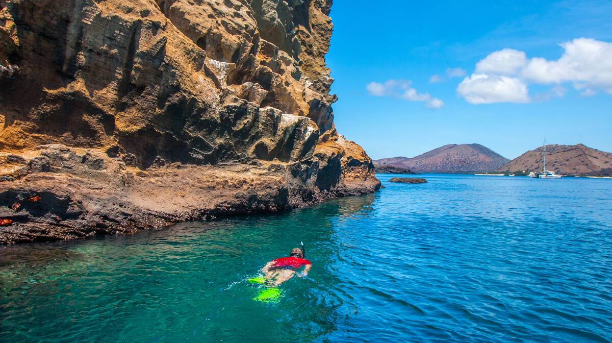 Snorkelling is a popular activity for tourists visiting Galapagos. Pictures: Shutterstock