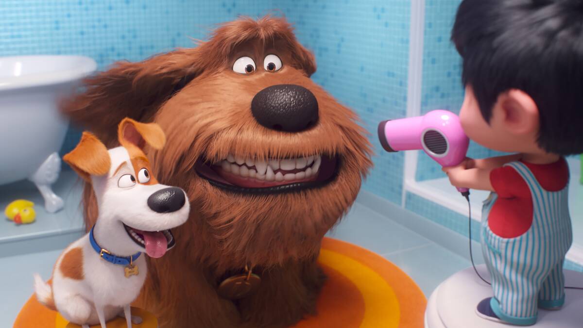From left, Max, voiced by Patton Oswalt, Duke, (Eric Stonestreet) and Liam, (Henry Lynch) in The Secret Life of Pets 2. Picture: Universal Pictures