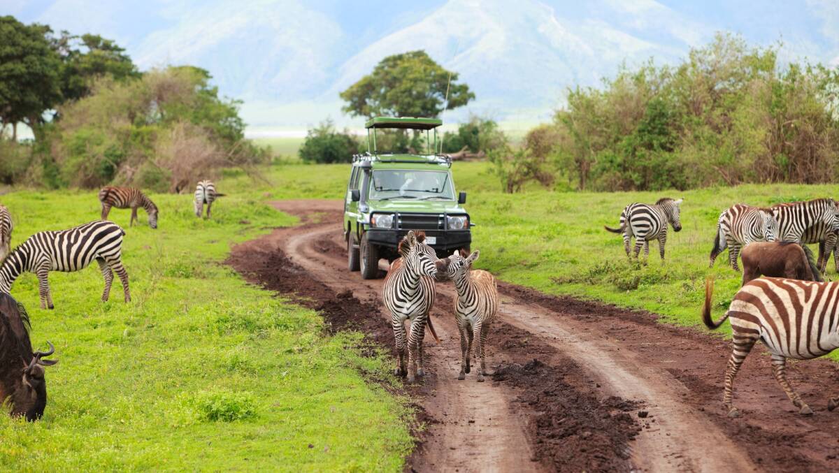 Theres never any shortage of wildlife on a game drive around Ngorongoro Crater in Tanzania. Picture: Shutterstock