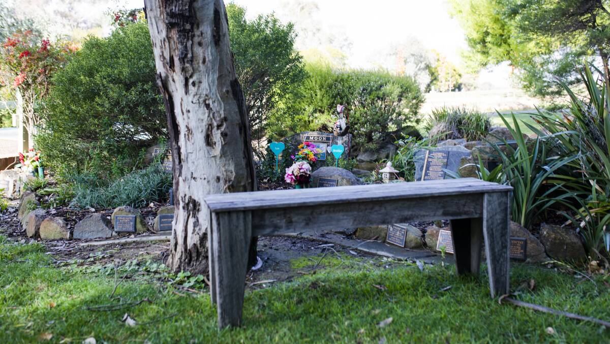 The gardens of Norwood Park often play host to families having picnics while visiting the ashes of loved ones. The crematorium has even hosted a wedding. Picture: Jamila Toderas