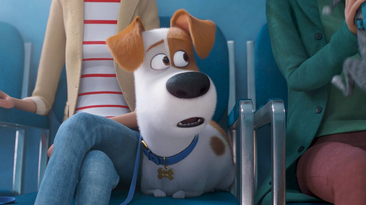 Max at the vet in The Secret Life of Pets 2. Picture: Universal Pictures
