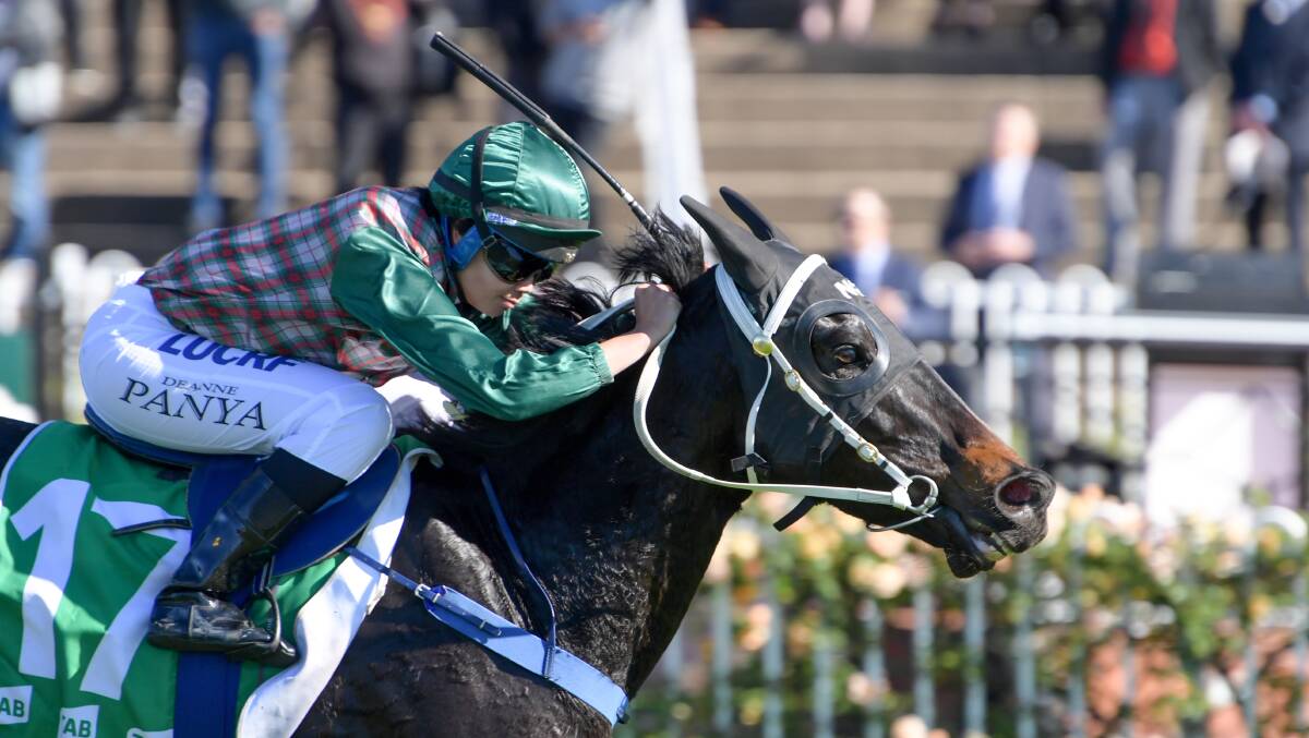 Upper House salutes to win the Highway Handciap at Rosehill on Saturday. Picture: AAP Image/Simon Bullard