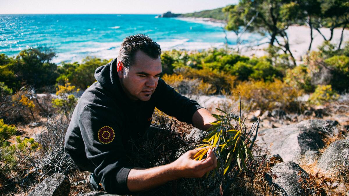 Josh Whiteland's family property, near Dunsborough, supplies Indigenous produce and ingredients to Yarri, the acclaimed local restaurant that follows the Noongar seasons. Pictures: Supplied