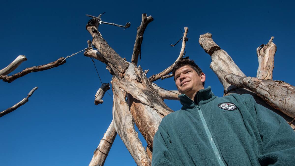 ACT Parks senior project manager Dr Darren Le Roux with a dead tree modified to attract and house various native wild life. Picture: Karleen Minney