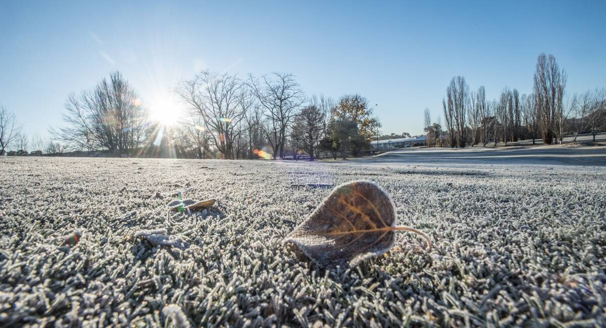 Canberra's frosty winters were a bonus in the race to become the nation's seat of government, with politicians seeking a "bracing, recuperative climate". Picture: Karleen Minney.