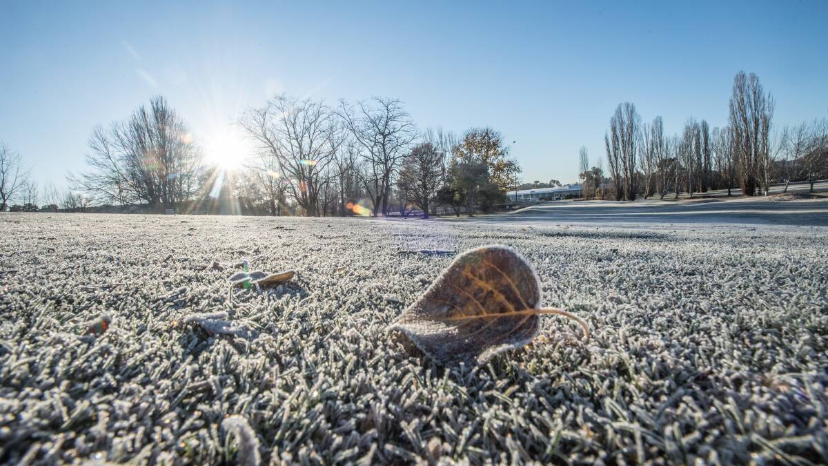 Canberra has recorded its first frost of 2020. Picture: Karleen Minney