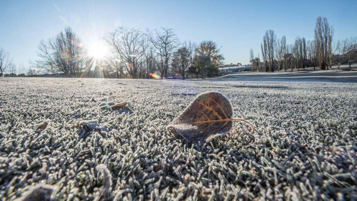 A cold snap is set to hit Canberra, with the mercury dropping to as low as zero. Picture: Karleen Minney.