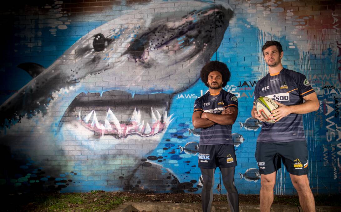Shark week: Henry Speight and Sam Carter started their Brumbies careers together, it's fitting they finish together. Picture: Karleen Minney.