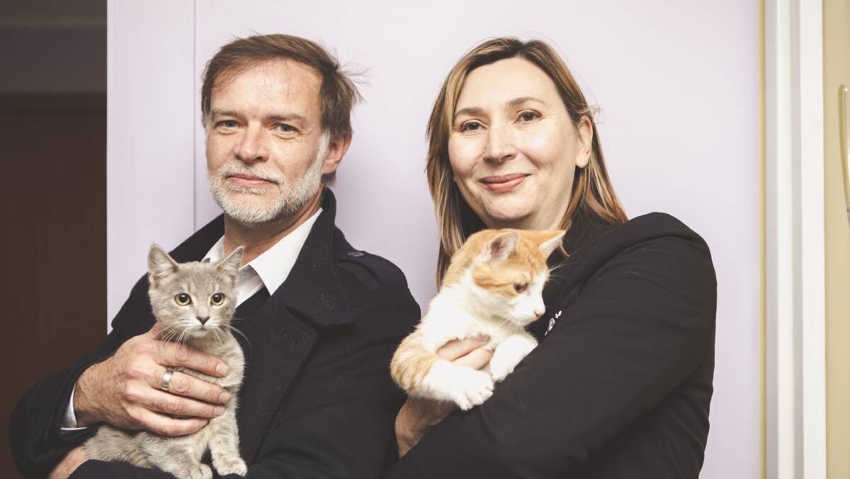 RSPCA ACT's animal care manager Simon Yates, left, and RSPCA chief executive Michelle Robertson with 12-week-old kittens on Tuesday. Picture: Jamila Toderas