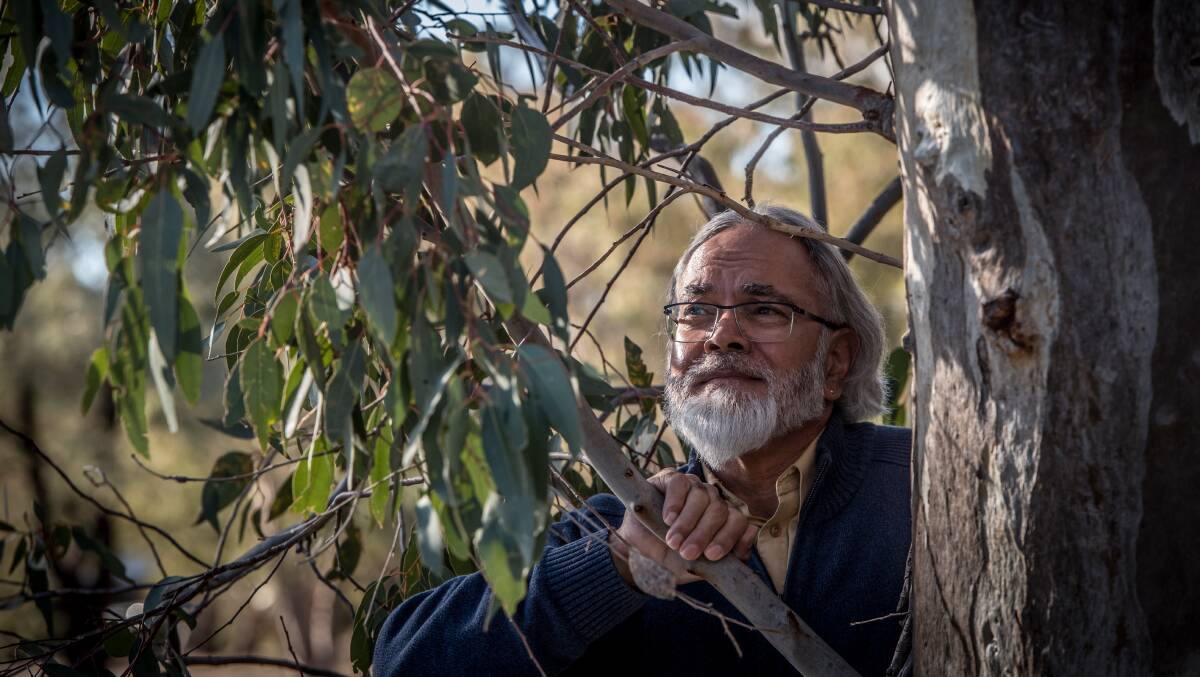 Aboriginal elder Wally Bell, pictured, said he was confused how the trees were cut down despite being heritage listed. Picture: Karleen Minney
