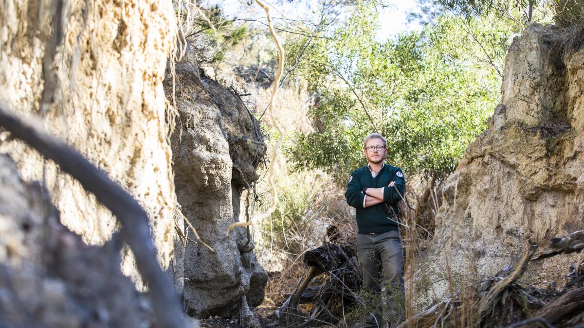 Lower Cotter area manager Nick Daines stands in an erosion gully known as '
Grand Canyon' by parks staff. Picture: Jamila Toderas