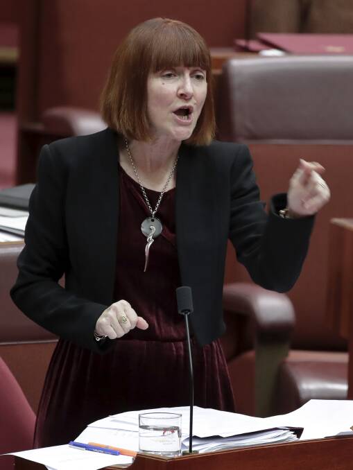 Greens Senator Rachel Siewert in parliament earlier in October. Picture: Alex Ellinghausen