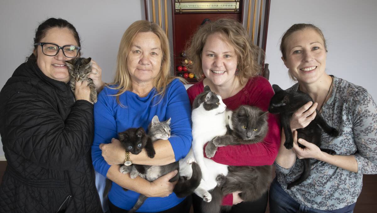 Felicity Kelly from Best Friends Pet Rescue, Amanda Doelle and Debbie Patterson from Canberra Pet Rescue, and Anan Reimondos from Canberra Street Cat Alliance. Picture: Sitthixay Ditthavong