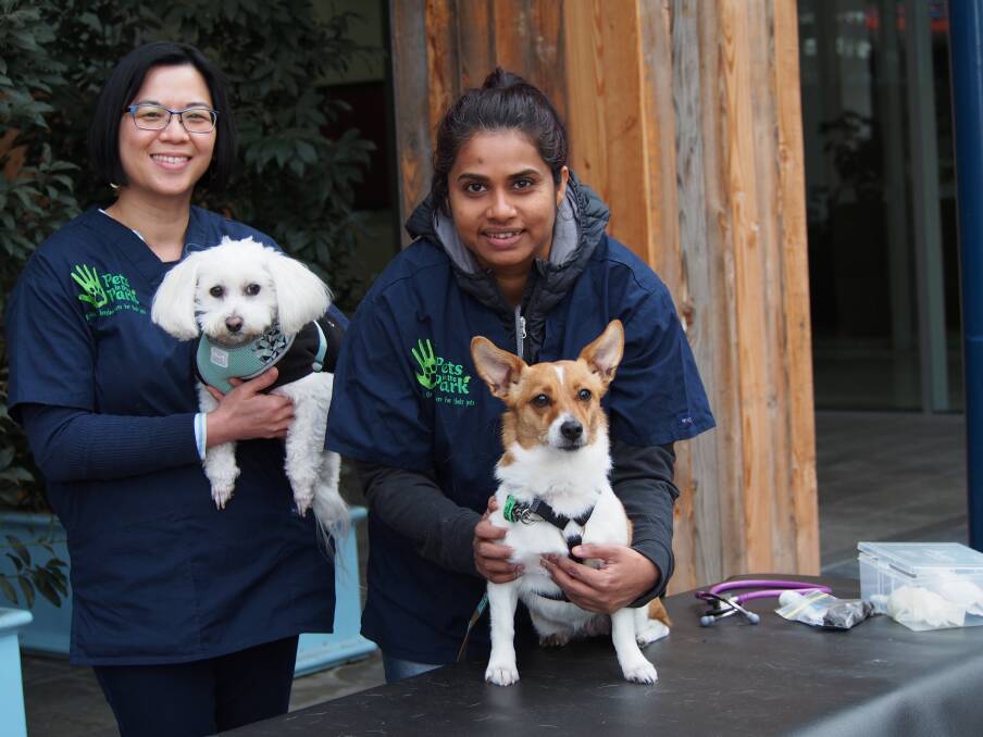 Fiona Russell and Dilly Abeyawardane of Pets in the Park Canberra with regular patients Shelby and Charlotte. Picture: Amy Martin