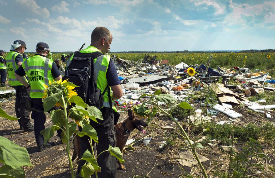 Disaster victim identification team members at the MH17 crash site. Picture: AFP