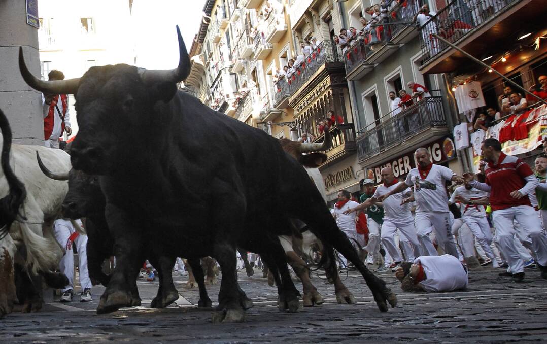 Revellers run next to fighting bulls during the San Fermin Festival in Pamplona last month. Picture: Alvaro Barrientos