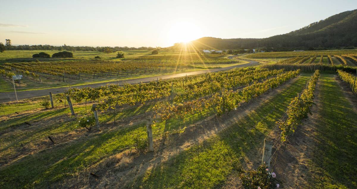 The sun sets over the award-winning Coolangatta Estate Winery. Picture: Destination NSW