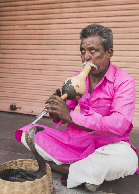 A snake charmer at Jaipur. Picture: Jamila Toderas