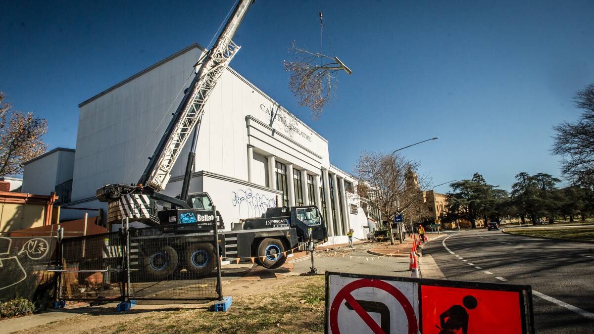 A controversial plane tree is removed from the Capitol Theatre site in July 2019. Picture: Karleen Minney