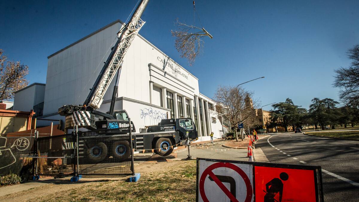 The London plane tree is craned over the Capitol Cinema on Canberra Avenue after it was removed in July 2019. Picture: Karleen Minney