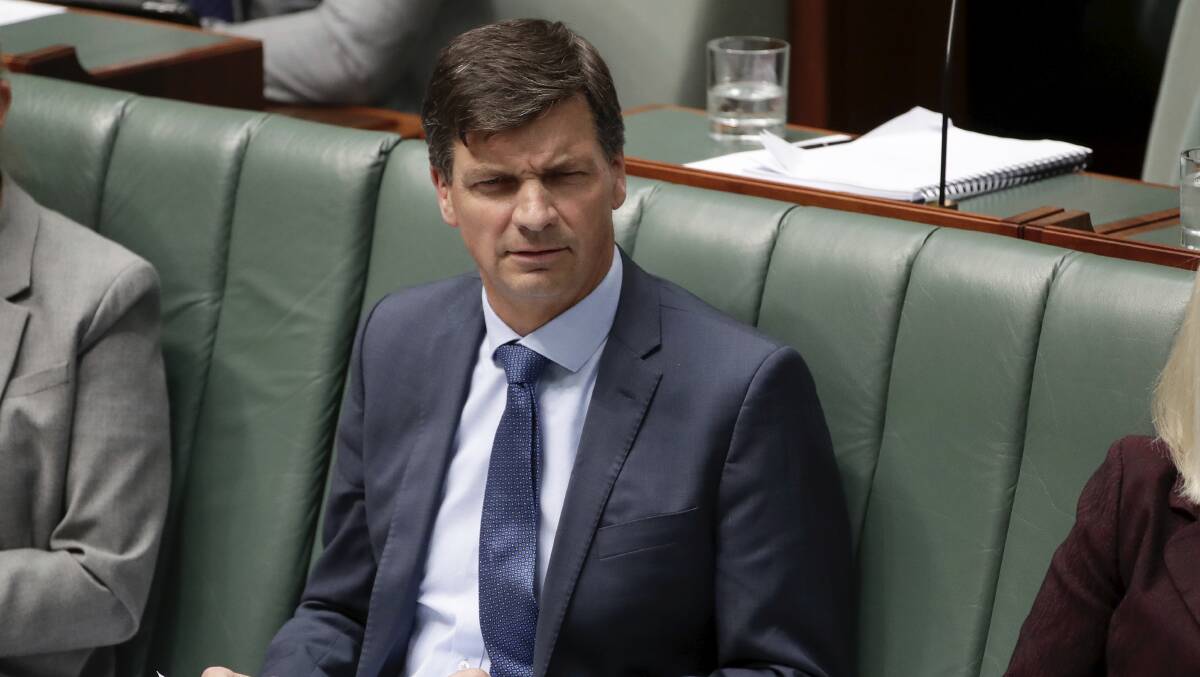 Energy Minister and Liberal MP Angus Taylor. Picture: Alex Ellinghausen