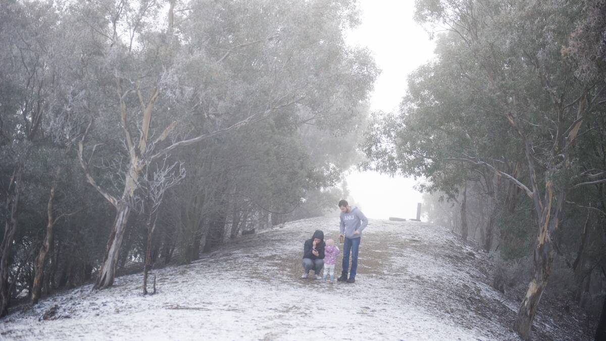 Families gather to see the snow fall on top of Mount Ainslie. Picture: Dion Georgopoulos