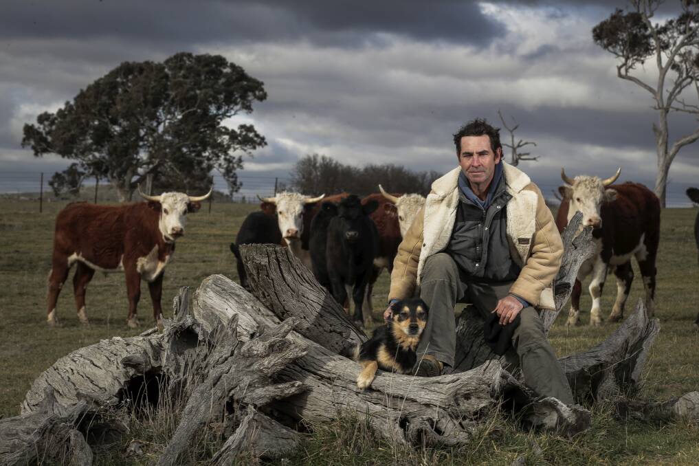 Cattle and sheep farmer Landon Hodgkinson on his property near Yass. Picture: Alex Ellinghausen