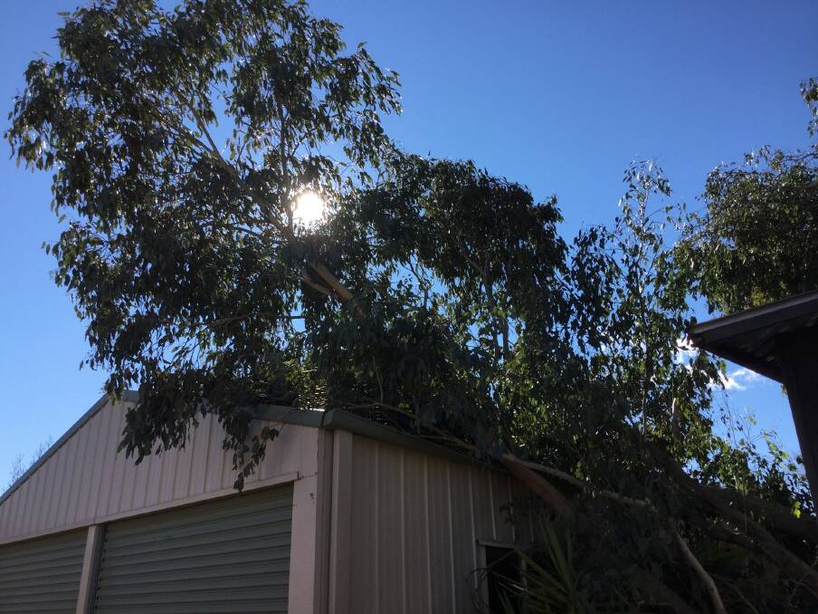 Winds of up to 100km/h were recorded in parts of the ACT. Picture: ACT Emergency Services Agency