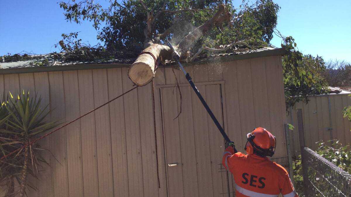 SES crews clean up after damaging winds hit the ACT. Picture: ACT Emergency Services Agency