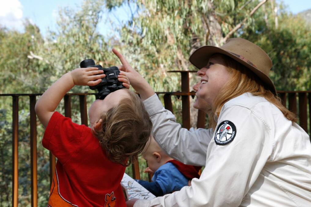 A ranger helps a young birdwatcher to identify birds in the Tidbinbilla canopy. Picture: Supplied
