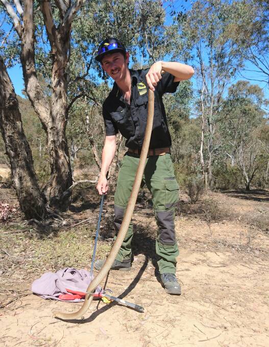 Snake catcher Luke Dunn with a brown snake. Picture: Supplied