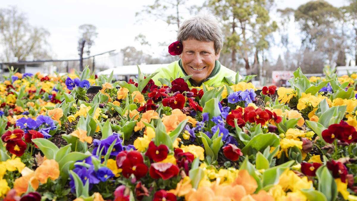Andrew Forster, 20 years on and still among Floriade's flower beds. Picture: Jamila Toderas