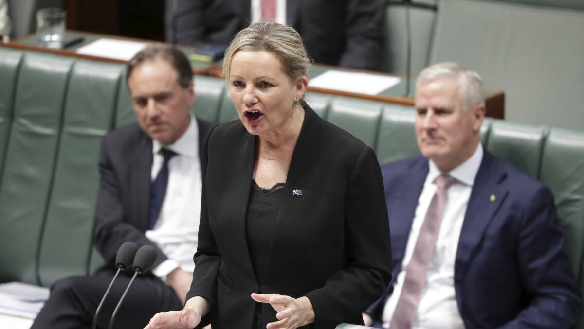 Environment Minister Sussan Ley during question time. Picture: Alex Ellinghausen