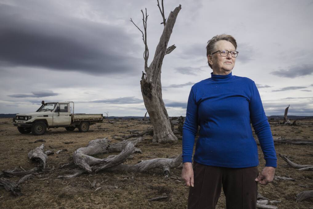 Chris Clarke at her drought-affected property outside Cooma. Picture: Sitthixay Ditthavong
