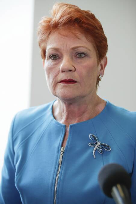 One Nation Senator Pauline Hanson will be deputy chair of the inquiry. Picture: Alex Ellinghausen