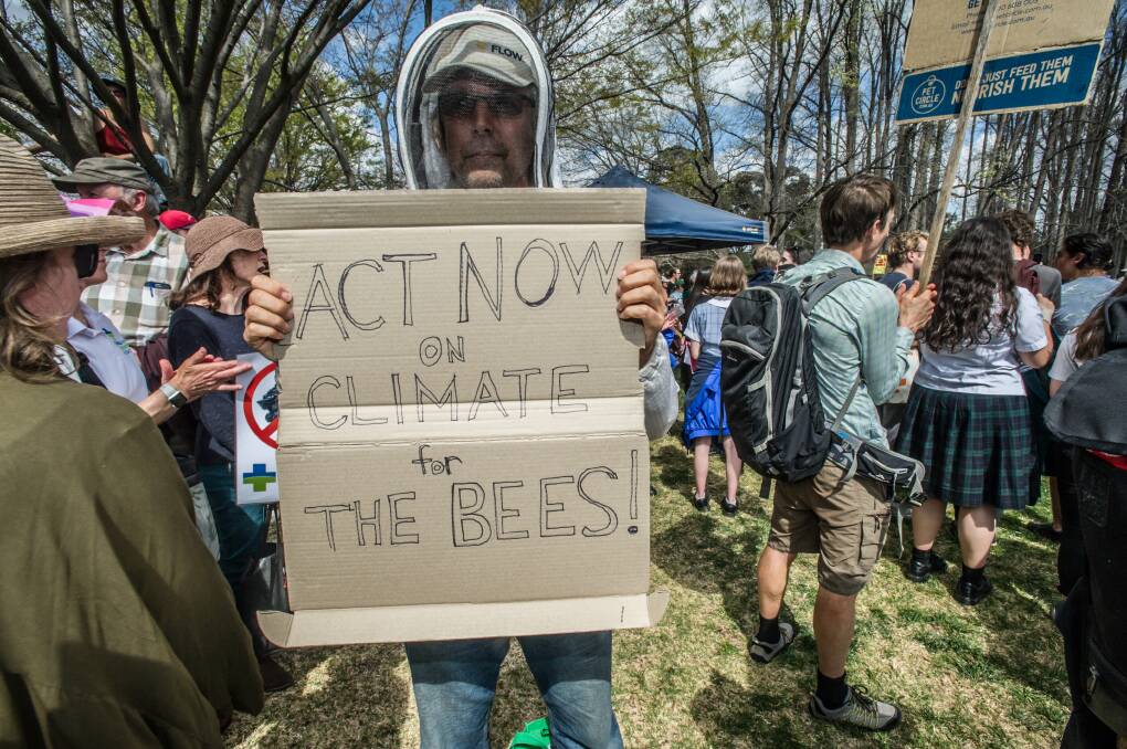ACT beekeper Patrick Anderson donned his beekeeping veil to join students and workers striking for climate action on Friday in Canberra.
Picture: Karleen Minney