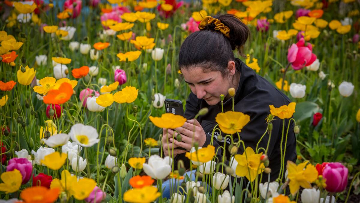 Events such as Floriade are driving tourism numbers in Canberra, which has reached record highs. Picture: Karleen Minney