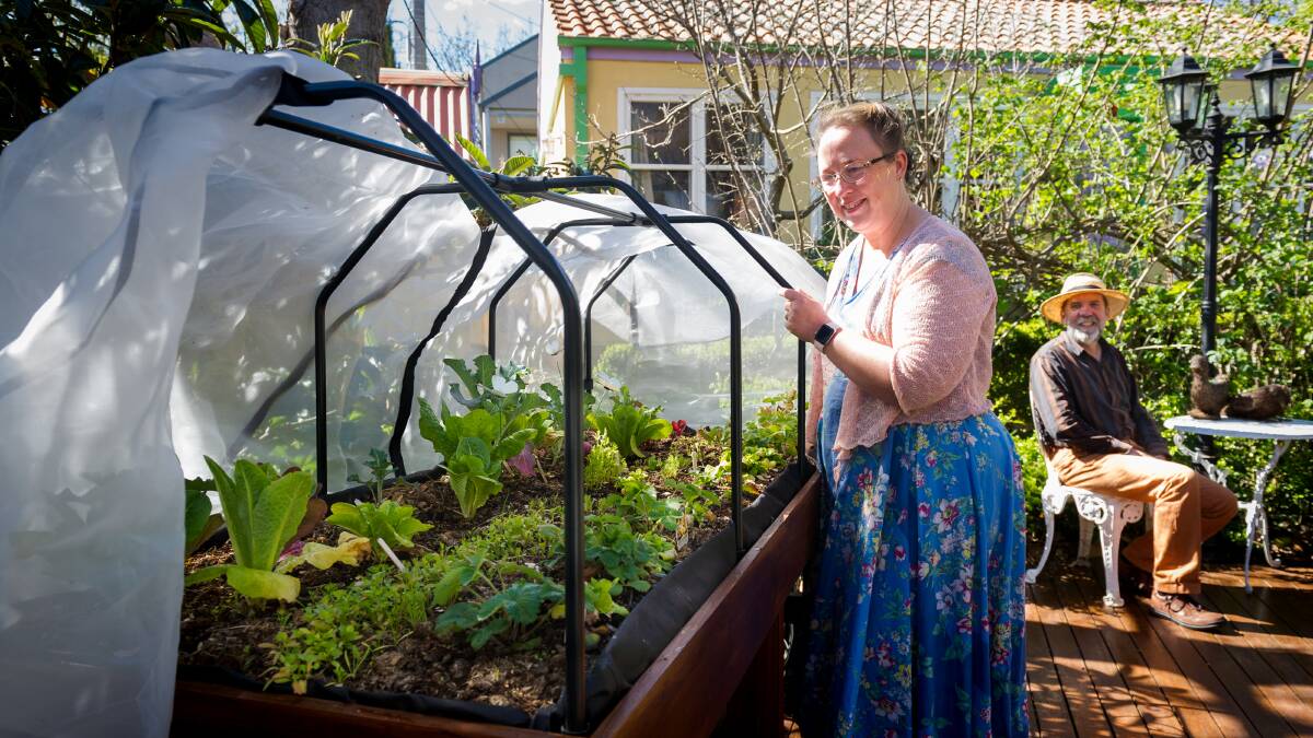 Aylwen Gardiner-Garden harvesting from an edible greens trough with Dr John
Gardiner-Garden in their kitchen courtyard. Picture: Elesa Kurtz