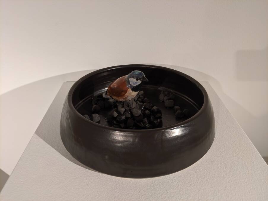 Marion Robinson, Adani Feeding Bowl in Canberra Potters Members' Exhibition at Watson Arts Centre. Picture: Supplied