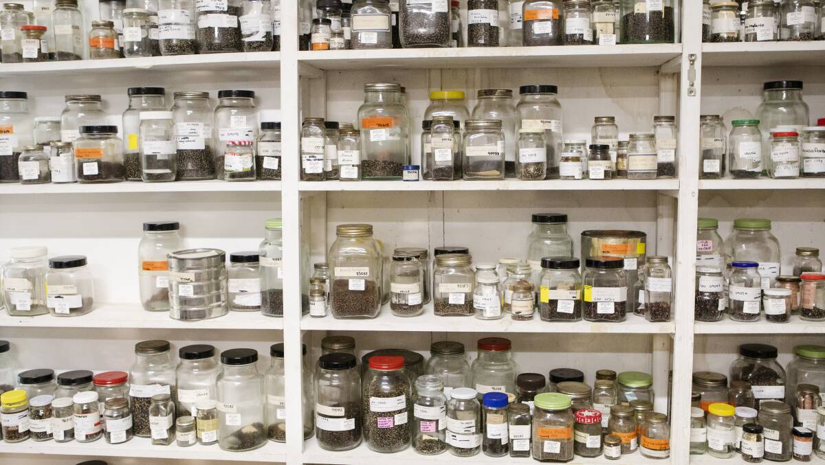 The curious and charming Yarralumla Nursery seed bank, with its shelves of seeds from around the world kept cool for future propogation. Picture: Jamila Toderas