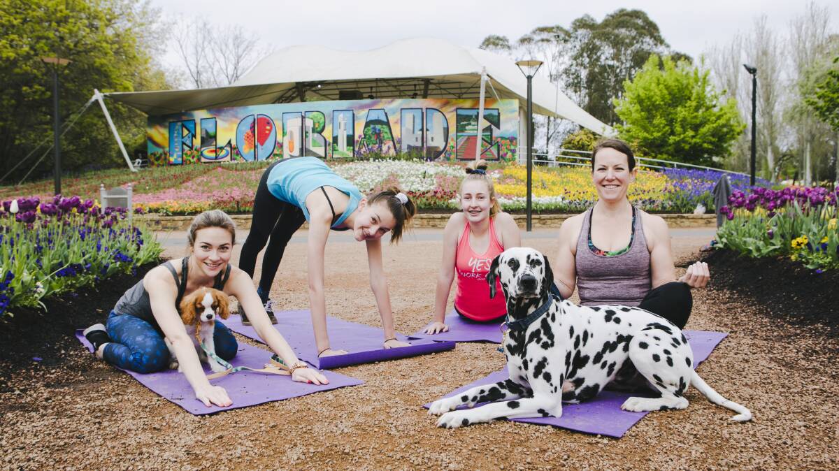 Dog Yoga, being held on Sunday as part of the Dogs' Day Out at Floriade. Verity Griffin with Hamilton 14-weeks-old, Tia Nicholson, 14, Lauren Hancock, 14, and Cath Cotter with Gatsby, 3. Picture: Jamila Toderas