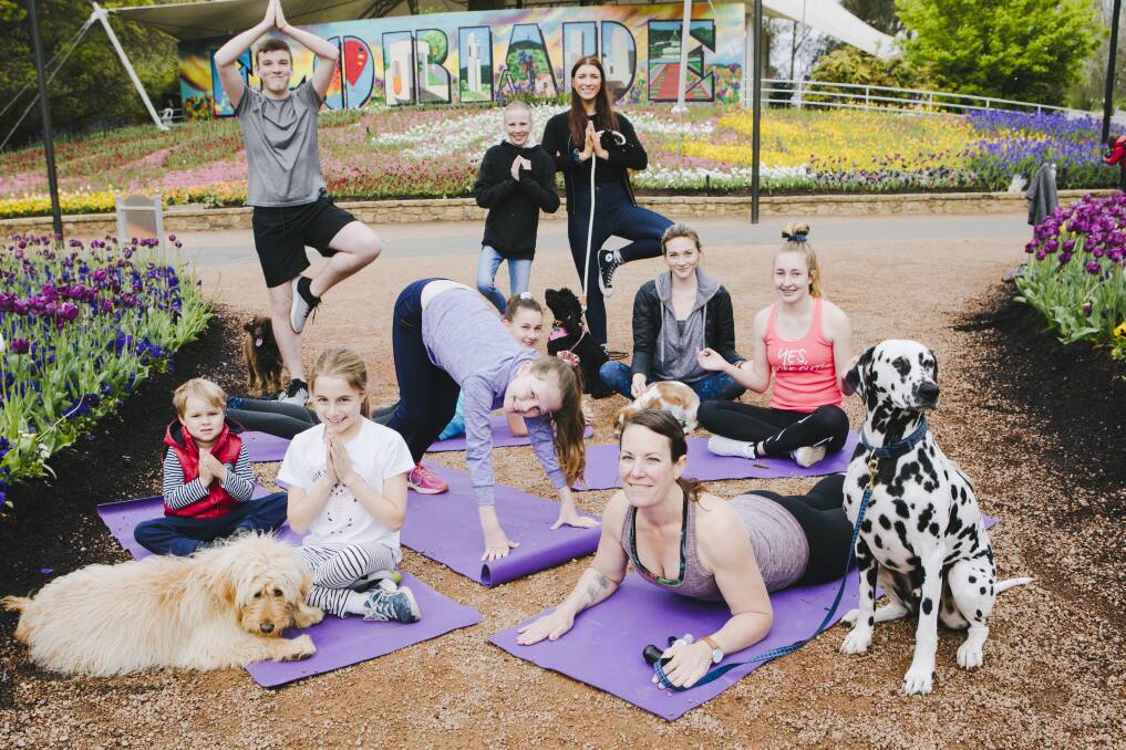 Dog Yoga, being held on Sunday as part of the Dogs' Day Out at Floriade. Picture: Jamila Toderas